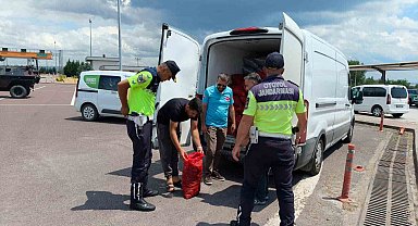 Yalova'da 3 ton kaçak midye ele geçirildi