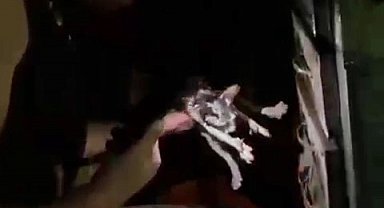 Yangında mahsur kalan kedi itfaiye ekiplerince kurtarıldı