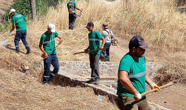 Yangınlara karşı Ayvalık'ta kuru ot temizliği aralıksız sürüyor