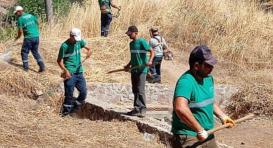 Yangınlara karşı Ayvalık'ta kuru ot temizliği aralıksız sürüyor