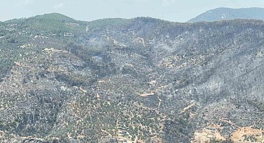 Yeşilden siyaha bürünen alan helikopterden görüntülendi