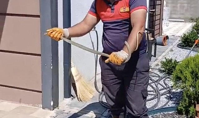 Yozgat'ta evin bahçesine giren yılan doğaya bırakıldı