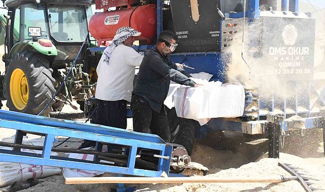 Yozgat'ta saman mesaisi: Tozun içinde ekmek mücadelesi