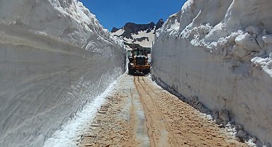 Yüksekova'da temmuz ayına rağmen 5 metrelik kar tünellerinde çalışma