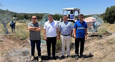 Zeytinler büyüyor, Milas kazanıyor