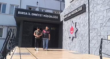 250 saatlik kamera kaydı izlediler, inşaat farelerini böyle çözdüler