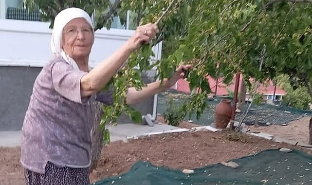 85 yaşındaki çift, geleneksel yöntemlerle dut pekmezi üretimini sürdürüyor