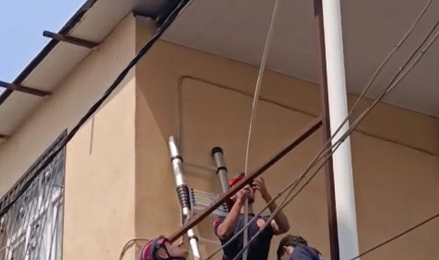 Adana'da tavana sıkışan güvercini itfaiye kurtardı