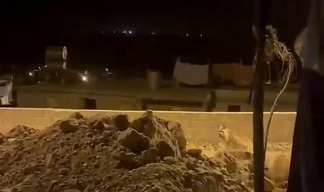 Adıyaman'da çizgili sırtlan evlerin bahçesinde görüntülendi