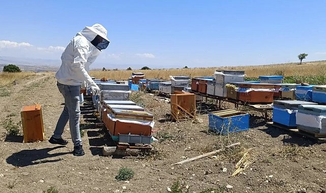 Ağın'da arıcılık çalışmalarında üreticilere destek