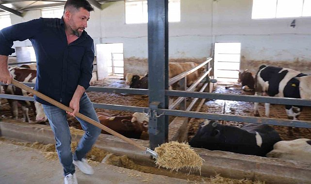 Ahırların elektrik işini yaparken, devlet desteğiyle besi çiftliği kurdu
