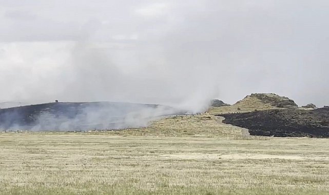 Ahlat-Tatvan yolunda otluk alanda yangın paniği