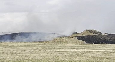 Ahlat-Tatvan yolunda otluk alanda yangın paniği