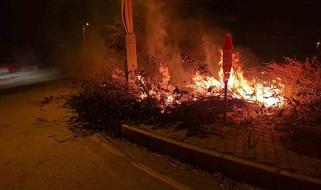 Alaca'da çıkan örtü yangını söndürüldü