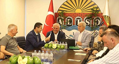 Alanya avokadosunun Avrupa Birliği coğrafi işaret başvurusu gerçekleştirildi