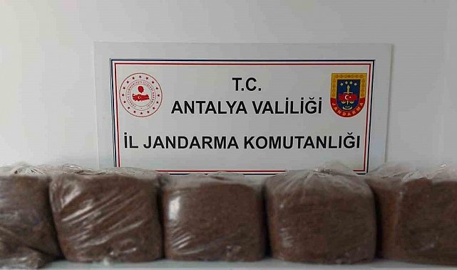 Alanya ve Demre'de 285 kilo kaçak tütün ele geçirildi