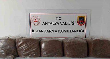 Alanya ve Demre'de 285 kilo kaçak tütün ele geçirildi