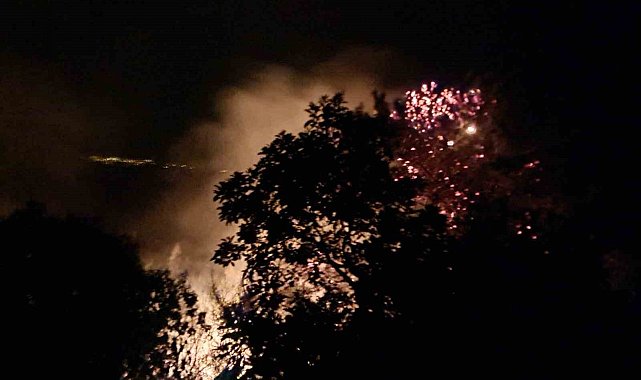 Alanya'da gece saatlerinde çıkan orman yangını kontrol altına alındı