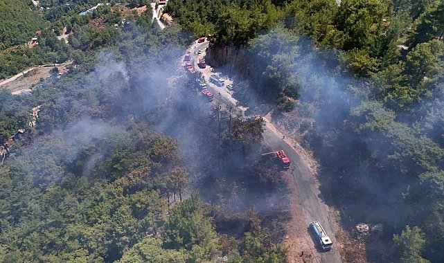 Alanya'da orman yangını 3 saatte kontrol altına alındı