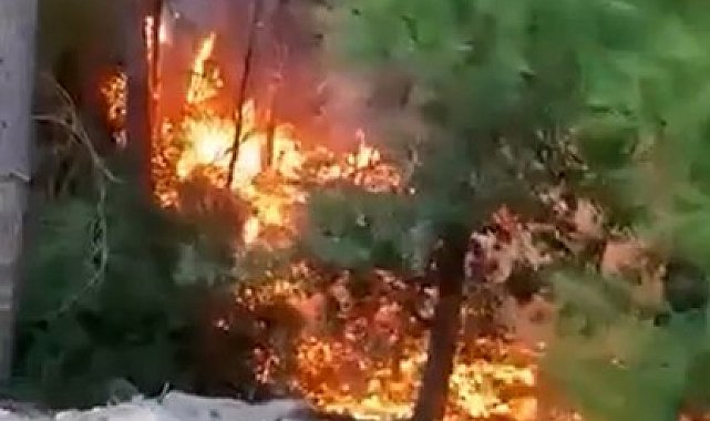 Alanya'da yıldırımın düşmesiyle yangın çıktı: 1 dönüm alan zarar gördü