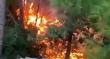 Alanya'da yıldırımın düşmesiyle yangın çıktı: 1 dönüm alan zarar gördü