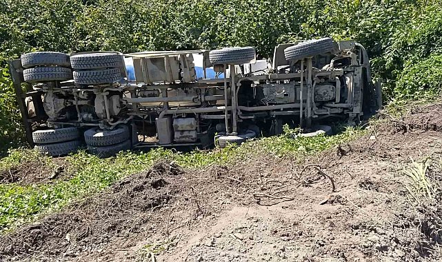 Alaplı'da şarampole uçan beton mikserinin sürücüsü yaralandı
