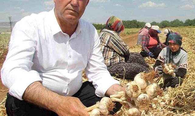 Altun'dan tarım mesajı