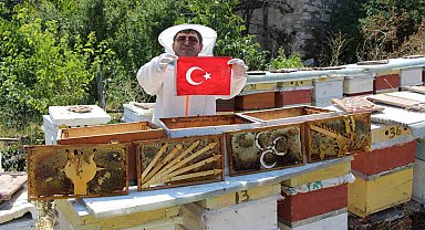 Amasya'da arıların seçimi sonuçlandı