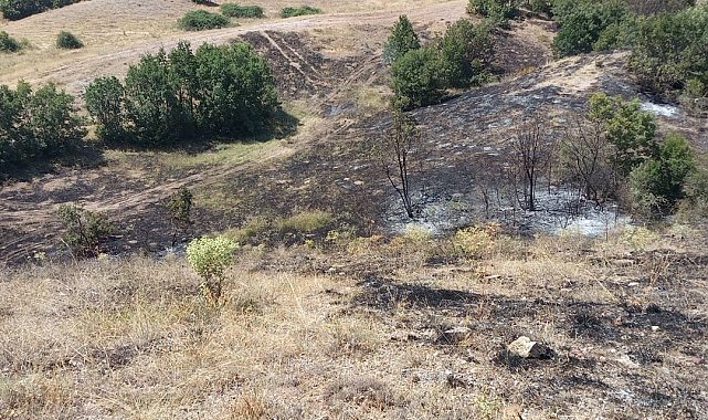 Anız yangınında yaklaşık 25 dönüm arazi küle döndü