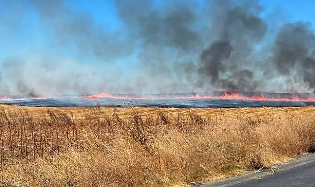 Anız yangınında yaklaşık 25 dönüm arazi küle döndü