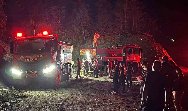 Ankara'da çıkan orman yangını kontrol altına alındı