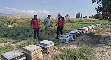 Antakya'da arıcılar bal sağımını sürdürüyor