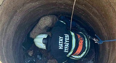 Antakya'da kuyuya düşen 2 koyun kurtarıldı