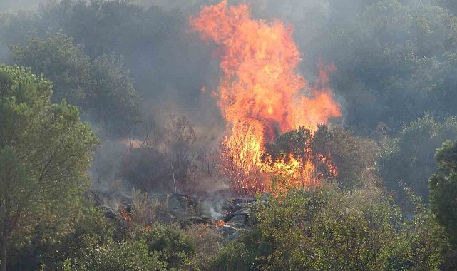 Antalya'da iki ilçede çıkan orman yangınları kontrol altına alındı