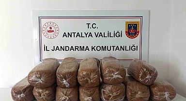 Antalya'da üç ilçede kaçak tütün operasyonu: 785 kilogram tütün ele geçirildi