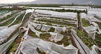 Antalya'da üreticilere 1 yılda 657 bin 400 metrekare sera naylonu hibe edildi