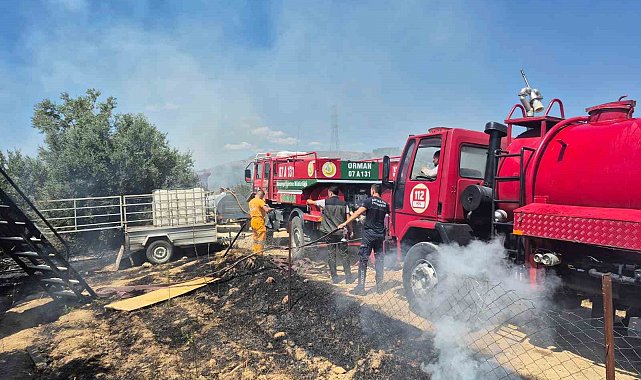 Antik kente yakın zeytinlik alanda yangında 1,25 dönüm zarar gördü
