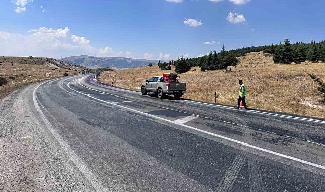 Araçların mor renge boyandığı yolda gerçek ortaya çıktı
