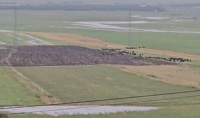 Ardahan'da sağanak ve dolu etkili oldu