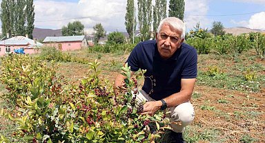 Aronya ile ilçeyi kalkındıracaklar