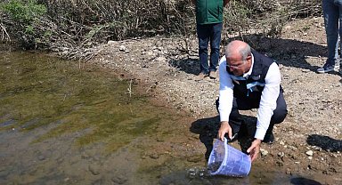 Atikhisar Barajı'na 348 bin sazan balığı yavrusu bırakıldı