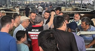 Aydın'da hayvan pazarlarında sıkı denetim