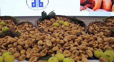Aydın'da sezonun ilk kuru inciri 850 liradan satıldı