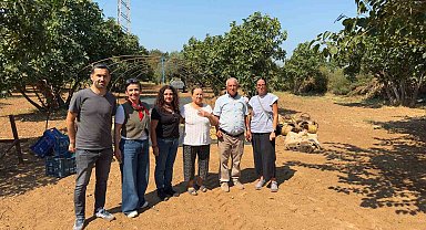 AYTO, Aydın İnciri'nin marka değerini korumaya devam ediyor