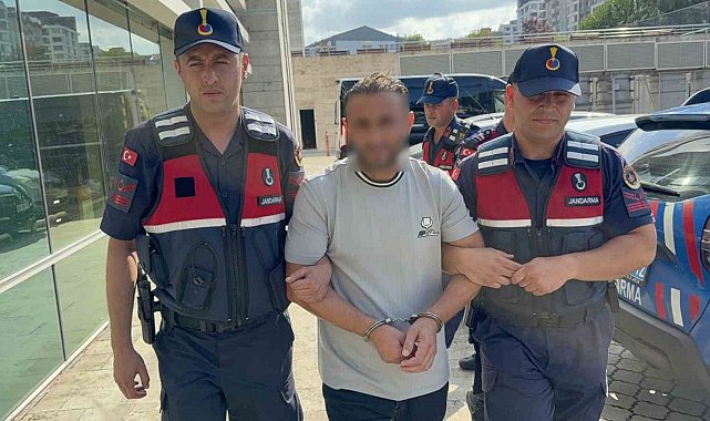 Ayva dalını kestiği için amcasını öldüren gurbetçi yakalandı