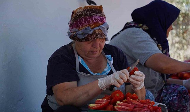Ayvalık'ta güneş ile lezzet buluşuyor