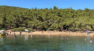 Ayvalık'ta ormanlara giriş yasak ama denetim yetersiz