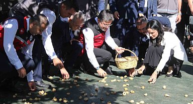 Bakan Yumaklı Aydın'da incir hasadına katıldı