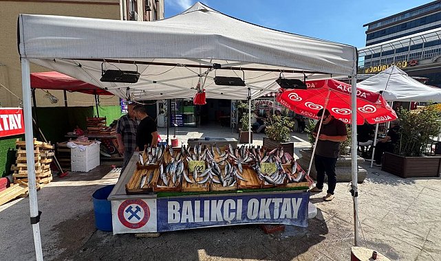 Balıkçı esnafından yeni sezon müjdesi, "Bu sene denizden balık fışkıracak"