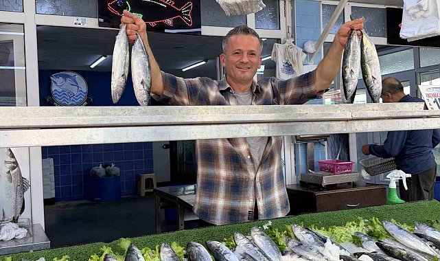 Balıkçıların yüzünü palamut bolluğu güldürdü